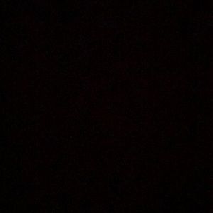 Meet your Posher, Delia